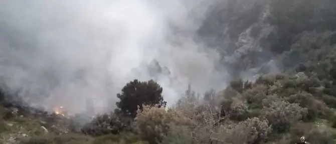 Incendio divampa in una discarica abusiva ad Albi: disagi per la popolazione