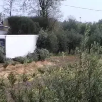 Incidente a Cassano, camion si ribalta e finisce in una scarpata