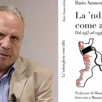 “La ‘ndrangheta come alibi”: a Pubblica piazza Ilario Ammendolia