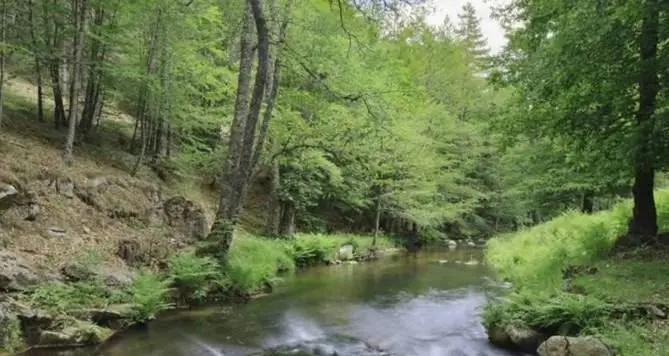 “Incontri di natura” per celebrare i 25 anni del Parco Aspromonte