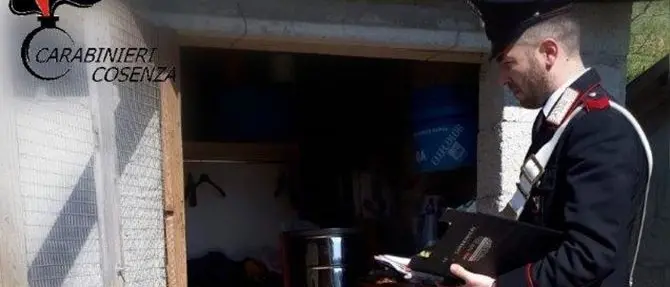 Seviziava la compagna e costringeva il cognato a vivere coi maiali