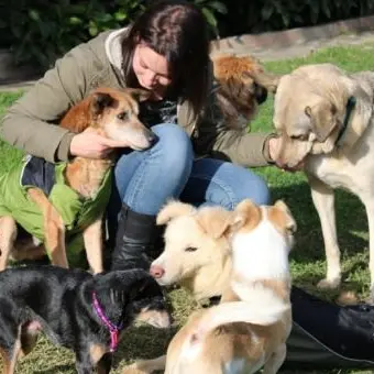 La storia di Debora, la volontaria di Soverato che salva i cani anziani dal canile