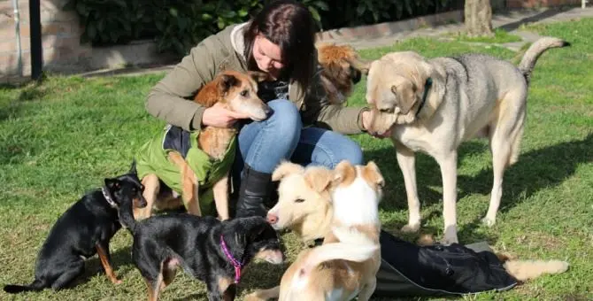 La storia di Debora, la volontaria di Soverato che salva i cani anziani dal canile