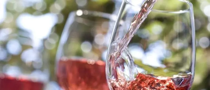 Vino e spettacolo al WineArt festival di Cosenza