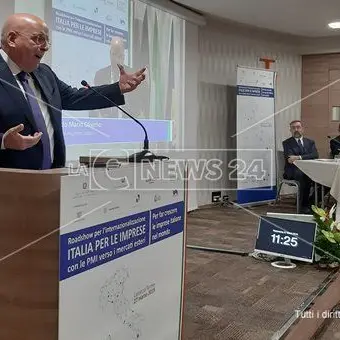 Mercato estero, la corsa delle piccole e medie imprese calabresi