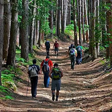 Un protocollo per valorizzare il sentiero del brigante nel Parco Aspromonte