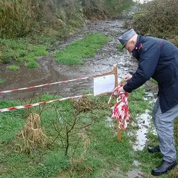 Celico, rifiuti animali non smaltiti: sequestrata azienda zootecnica