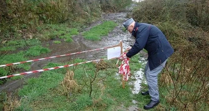 Celico, rifiuti animali non smaltiti: sequestrata azienda zootecnica