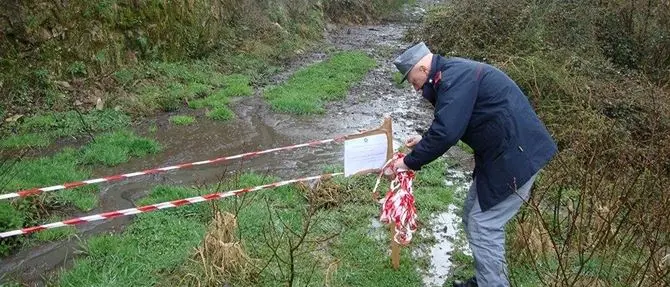 Celico, rifiuti animali non smaltiti: sequestrata azienda zootecnica
