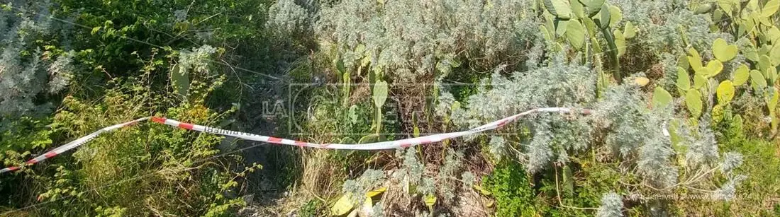 Rinvenuto cadavere decapitato, macabra scoperta nelle campagne di Simeri Crichi