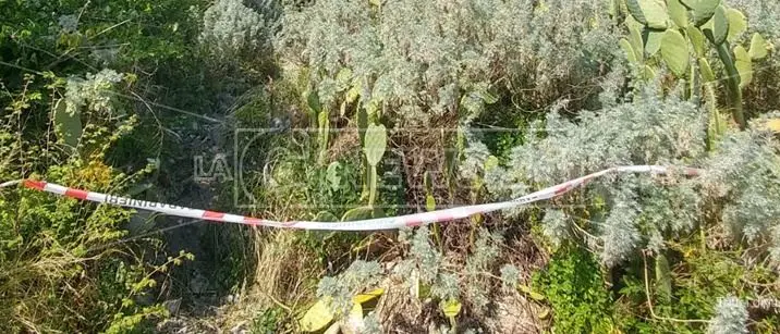Rinvenuto cadavere decapitato, macabra scoperta nelle campagne di Simeri Crichi