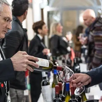 Lamezia wine fest, i vini e l'olio di Calabria protagonisti della rassegna