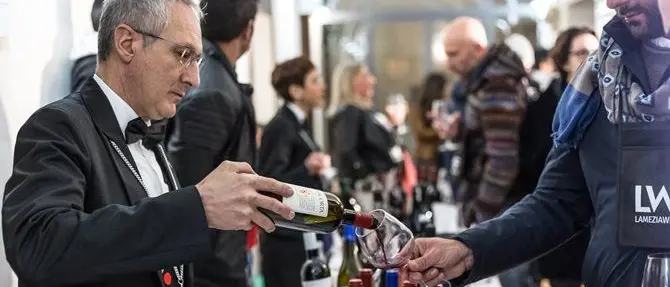 Lamezia wine fest, i vini e l'olio di Calabria protagonisti della rassegna