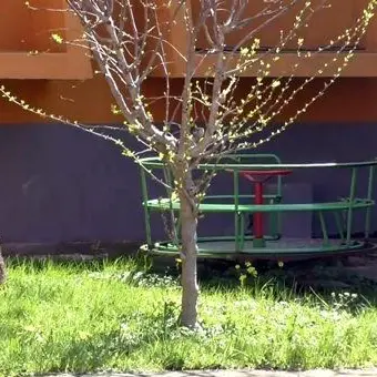 Bimbi maltrattati, la scuola: «Basta linciaggio mediatico»