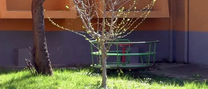 Bimbi maltrattati, la scuola: «Basta linciaggio mediatico»