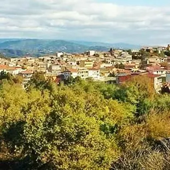 Caraffa: «Il sindaco la smetta di fare scelte senza condividerle»