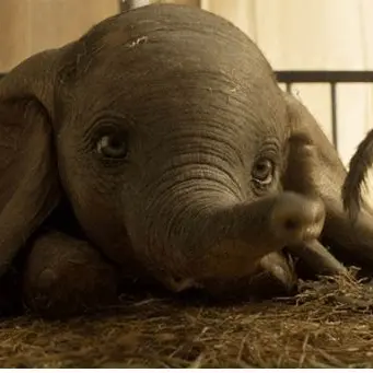 Dumbo campione d'incassi, la favola Disney in vetta alle classifiche