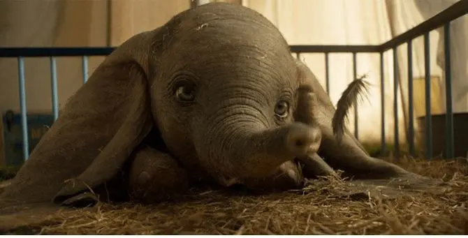 Dumbo campione d'incassi, la favola Disney in vetta alle classifiche