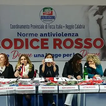 Violenza di genere, per Fi il Codice rosso non basta: «Serve sicurezza»