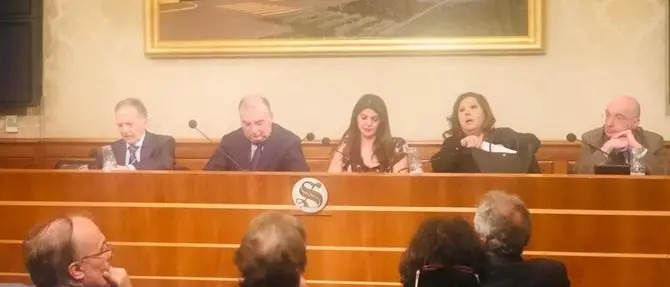 Costruzione moschee, Martusciello (FI): «Sorvegliare finanziamenti»