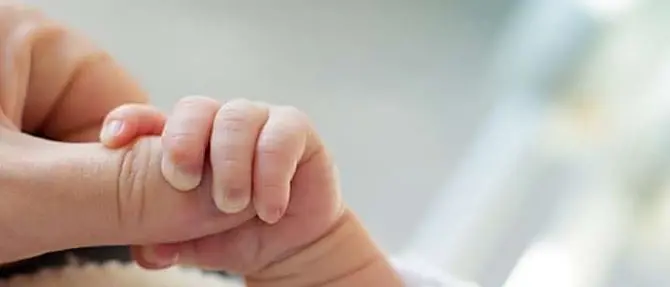 Utero in affitto, il senatore leghista contro Strasburgo: «In Italia rimarrà un abominio»