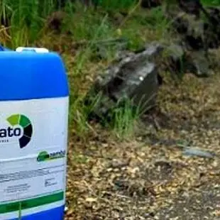 Coldiretti, anche i finocchi di Isola Capo Rizzuto a “glifosato zero”