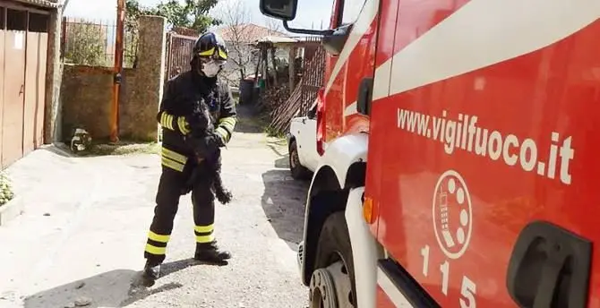 In fiamme abitazione a Mileto, cagnolino messo in salvo