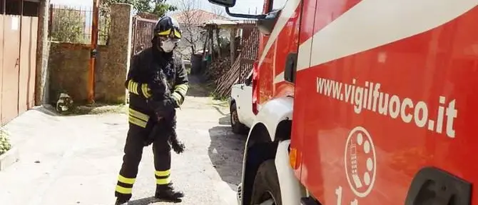 In fiamme abitazione a Mileto, cagnolino messo in salvo