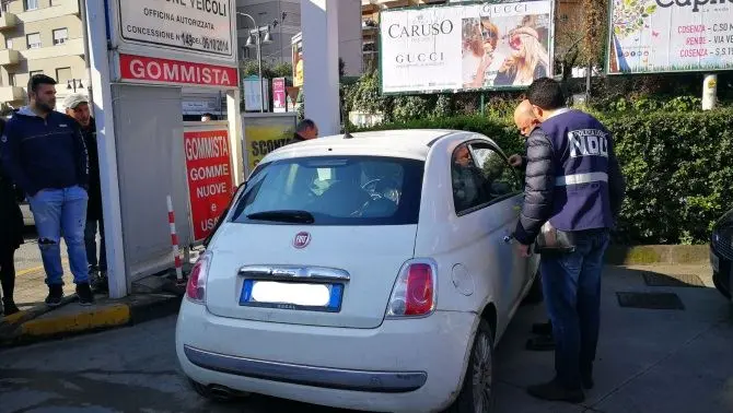 Pitbull rinchiusi in un’automobile a Cosenza, liberati