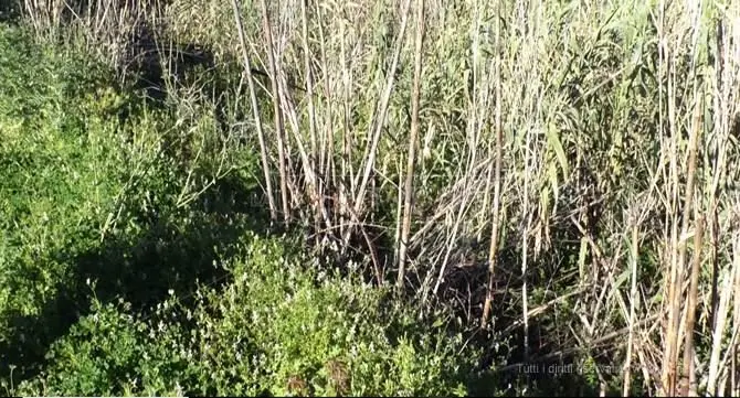 Lamezia, l'appello di una famiglia: «Abbiamo paura che il fiume ci entri in casa» - VIDEO