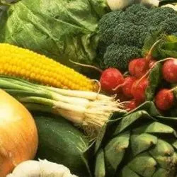 I prodotti del territorio nel mercato coperto di Campagna Amica