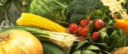 I prodotti del territorio nel mercato coperto di Campagna Amica