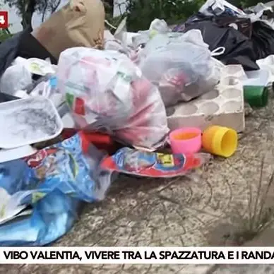 Vibo sommersa dai rifiuti nonostante l’ordinanza del Comune – VIDEO