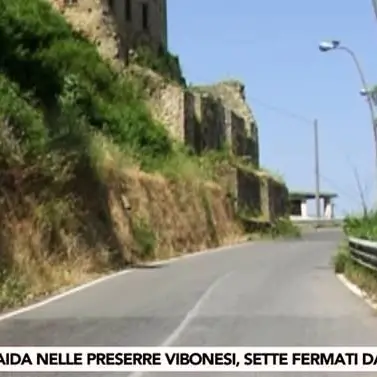 ‘Ndrangheta: operazione “Black Widows”, ecco le accuse contestate - VIDEO