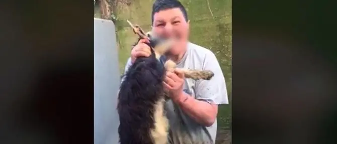 Mega multa per il “chupacabras” di Anoia