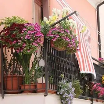 Crotone, ritorna l'appuntamento “Centro storico in fiore”