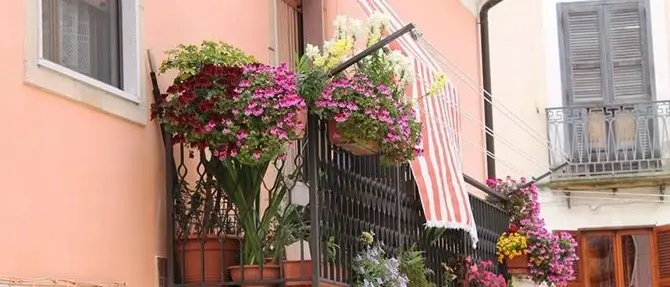 Crotone, ritorna l'appuntamento “Centro storico in fiore”