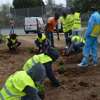 Rifiorisce il Cara di Sant'Anna, un' area verde curata dai migranti