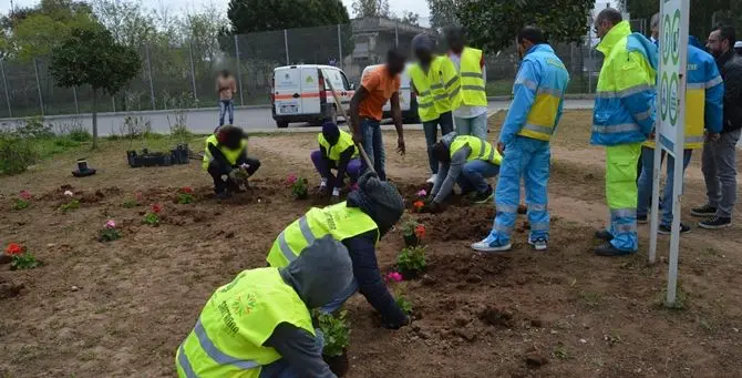 Rifiorisce il Cara di Sant'Anna, un' area verde curata dai migranti