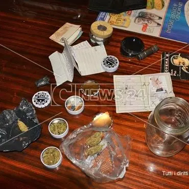 Cosenza, piantine di cannabis e serre di marijuana in casa: tre persone denunciate