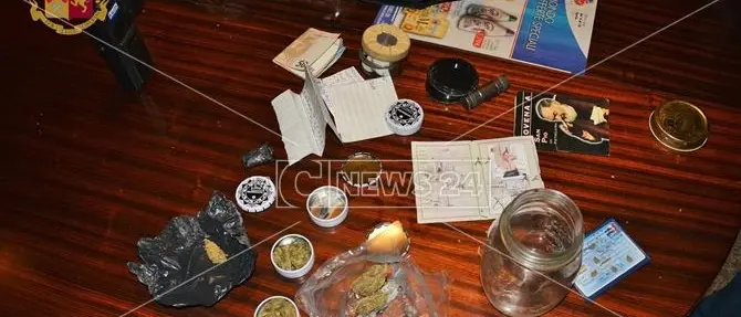 Cosenza, piantine di cannabis e serre di marijuana in casa: tre persone denunciate