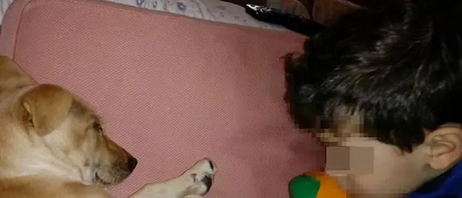 Il bimbo autistico ritrova il sorriso grazie all’affetto di un cucciolo abbandonato