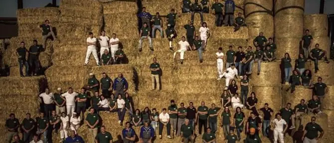 Fattoria della Piana, modello di impresa agricola vincente esportato in Giappone
