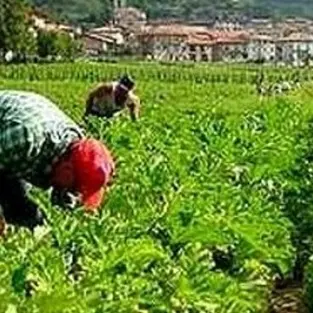 Costringe dipendenti a lavori massacranti per 14 ore al giorno, arrestato