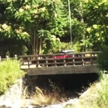Droga nascosta in un terreno di Sant'Eufemia, un arresto - VIDEO