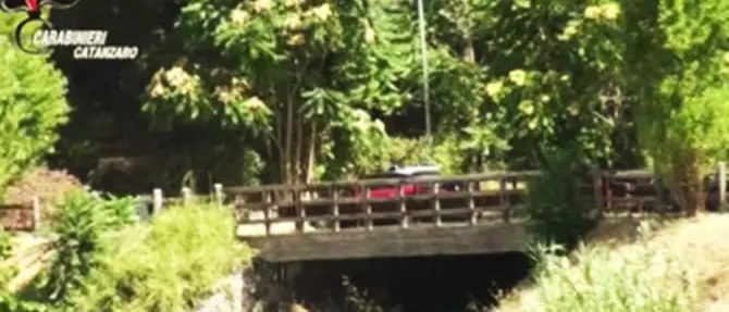 Droga nascosta in un terreno di Sant'Eufemia, un arresto - VIDEO