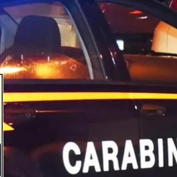 Narcotraffico, catturato a Gioia Tauro il latitante Vincenzo Di Marte - VIDEO E INTERVISTA