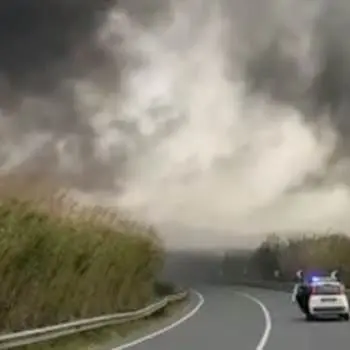 Lamezia, le fiamme avvolgono un vivaio lungo la statale 18