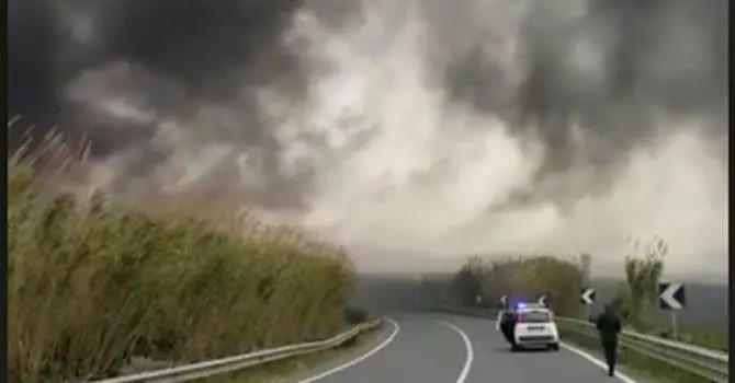 Lamezia, le fiamme avvolgono un vivaio lungo la statale 18