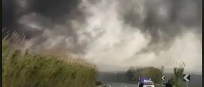 Lamezia, le fiamme avvolgono un vivaio lungo la statale 18